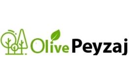 Olive Peyzaj